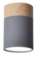 Candellux - Stropna svetilka Tube 1x15W 6,8/10 GU10 Grey/Wood