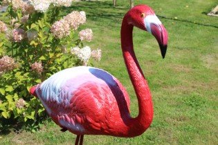 Chomik - Vrtna dekoracija - Flamingo - PTA9233