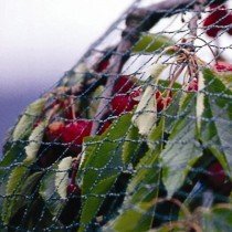 Chomik - Vrtna zaščitna mreža 8x8m - JAW9837