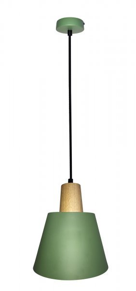 Candellux - Viseča stropna svetilka Faro 1x40W E27 Green