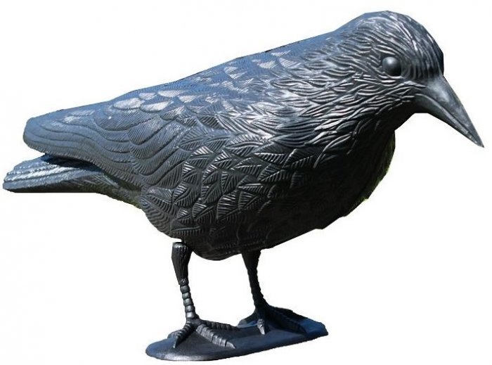 Chomik - Vrtna figurica Raven - PTA9240